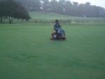 roll green Greens ironing.