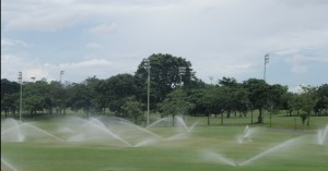 Sprinkler irrigation in a golf course