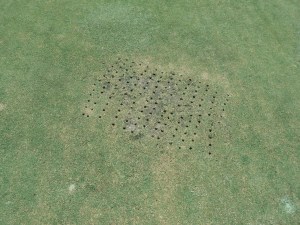 What is importan is to punch through the thatch so that water can flow down. And when you topdress, the sand will hold. 