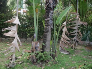 Travellers palm with 2 kids. 
