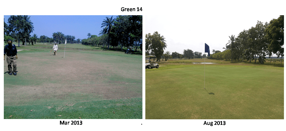 Greens improvement with minimum cost