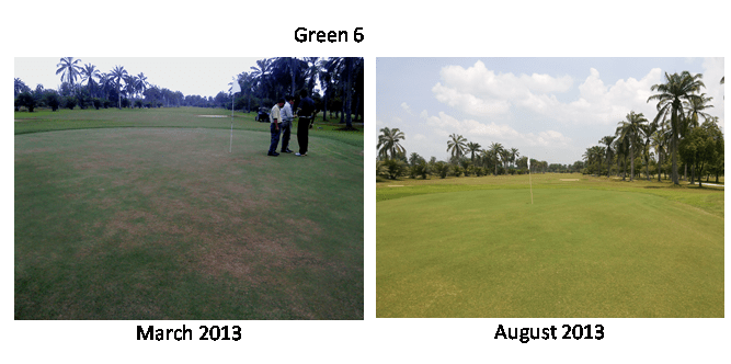 Not just these 3 greens; all greens there show improvement.