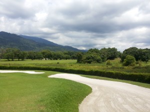 The picture doesn't do it justice. Do go there to judge for yourself.