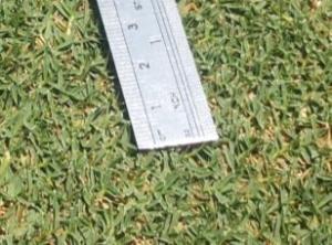 Not many clubs can boast Tifdwarf this tight with a budget that tight...