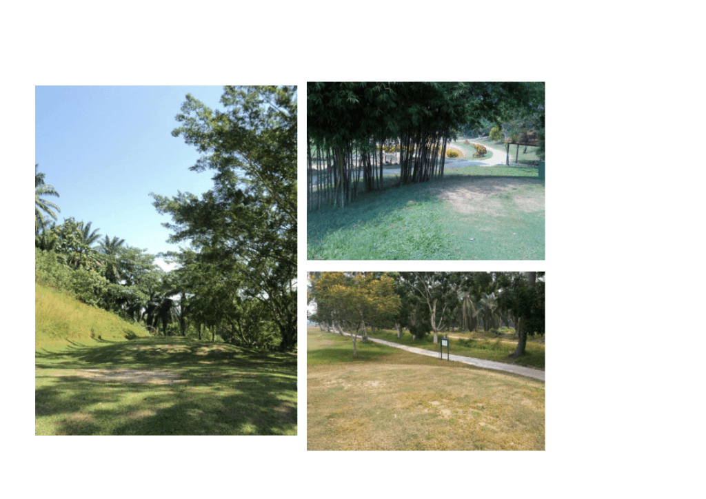 example of tees suffering under shade