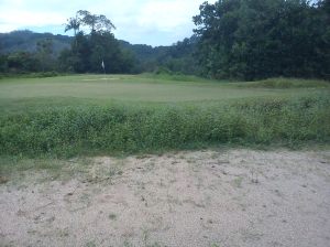 Instead of mowing, they sprayed with the same herbicide for years.