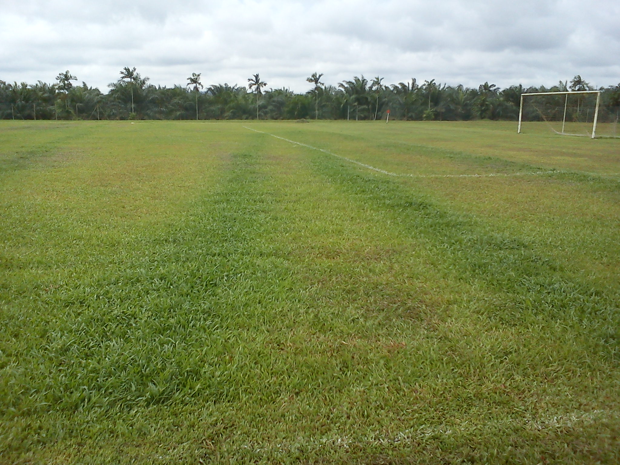 uneven fertilize baja (2)