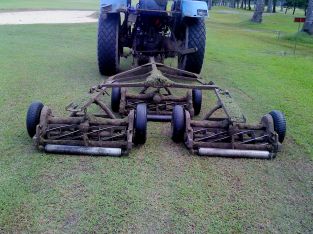 tractor reel mower (2)