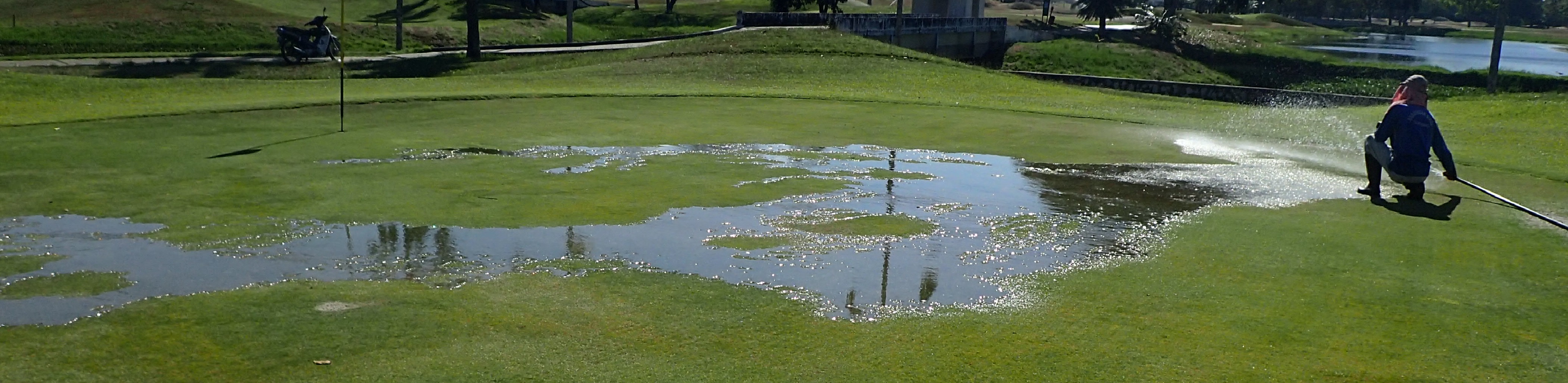 water ponding during irrigation watering