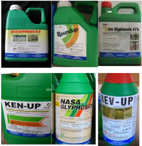 sample of glyphosate