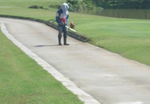 brushcutter-path-edge-002-2