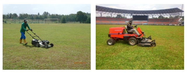 Gambar untuk kurangkan pekerja potong padang
