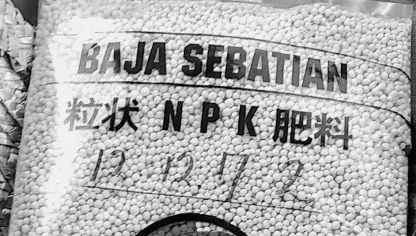 photo editing_cloud201808132091800059..jpg