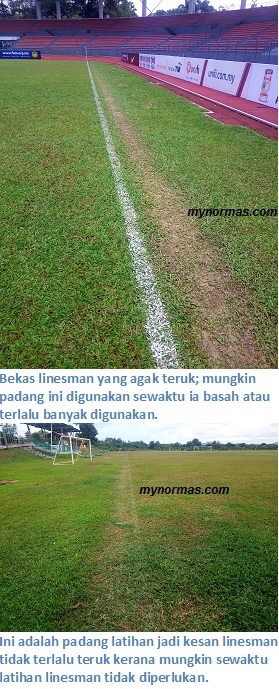 Bekas linesman