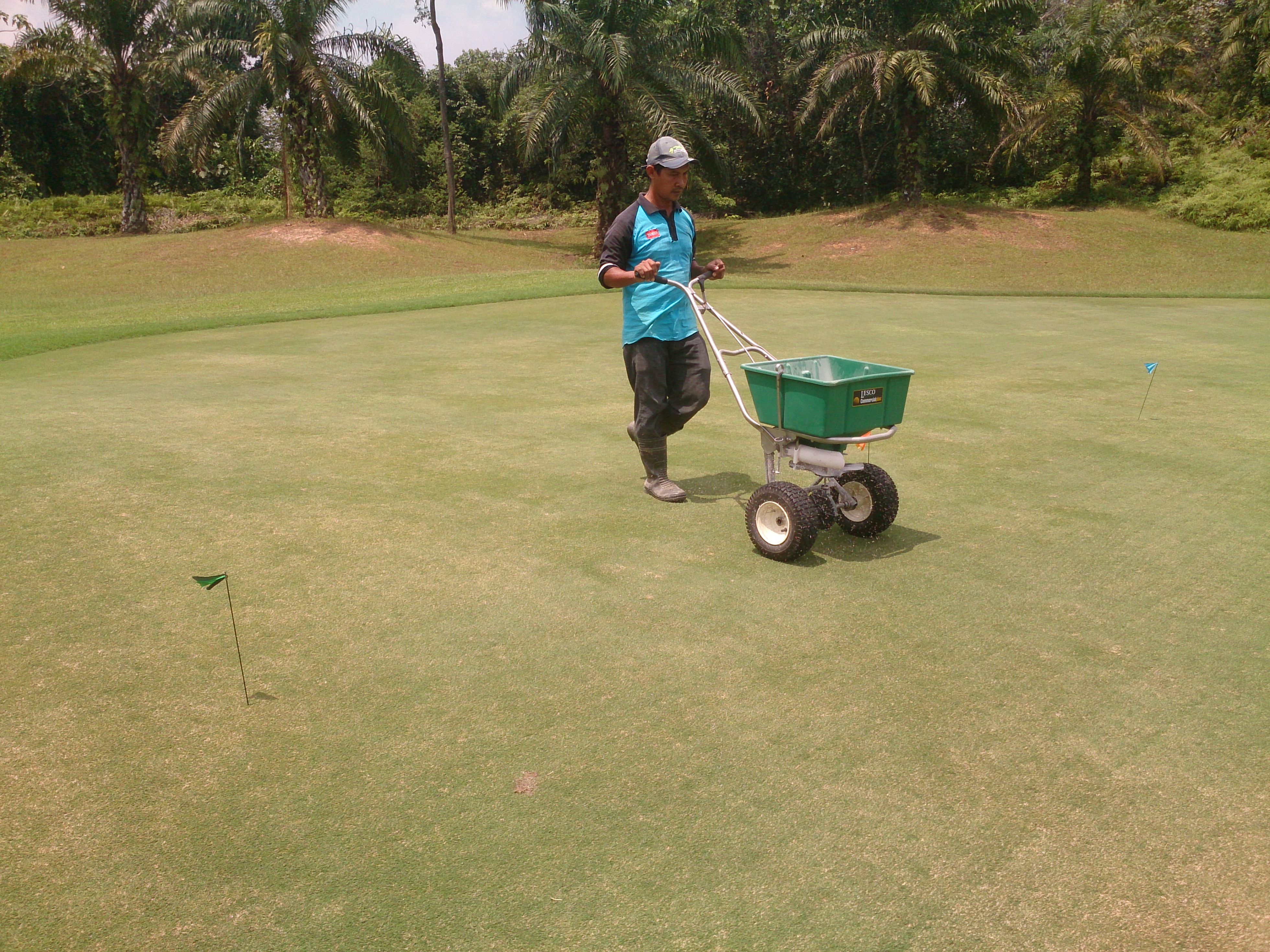 sop fertiliser green (6)