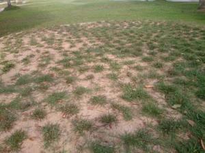 Tak boleh guna kerana sod tak rapat