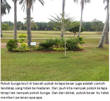 landscape proportion 2