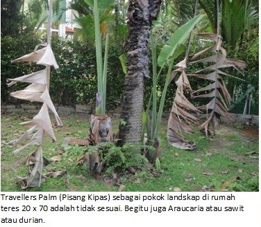 landscape proportion