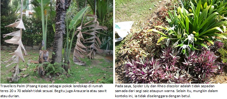 landscape proportion