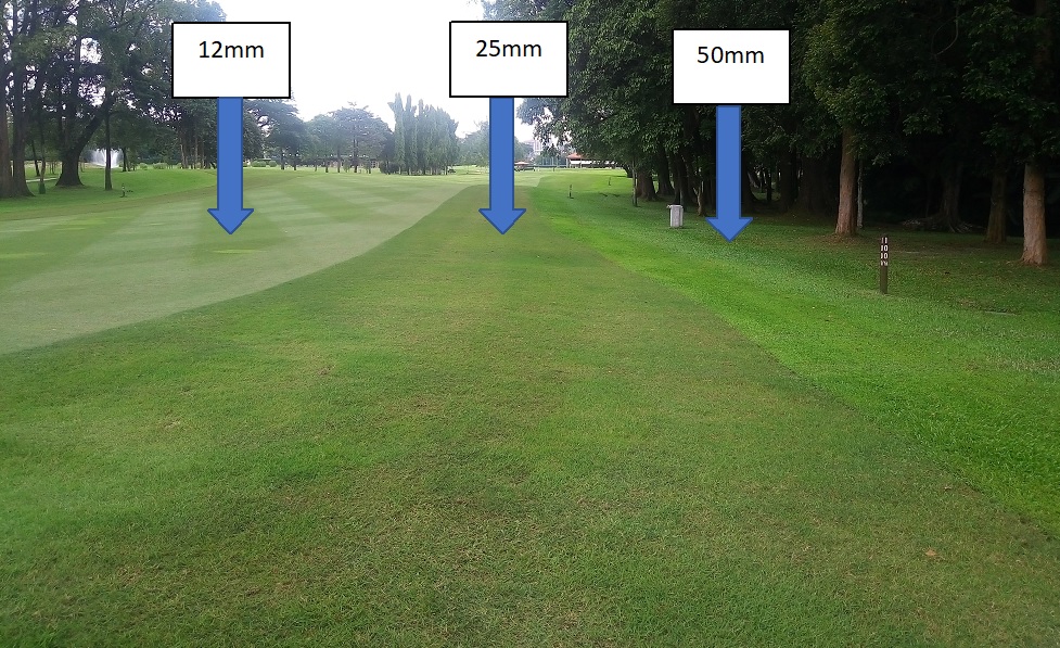 different heights colour